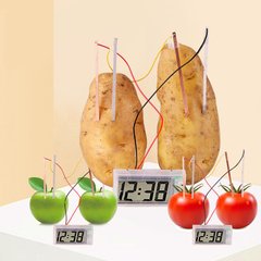 Обладнання для шкіл, кабінетів фізики Fizika 4 Годинник, що працює від електрики з фруктів та інших середовищ