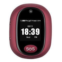 GPS трекер брелок 4G для дітей і літніх людей VJOYCAR RF-V45, камера, LCD, SOS кнопка, аудіодзвінок, крокомір