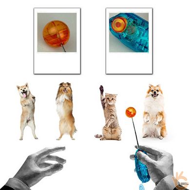 Клікер кнопковий для дресирування тварин Trixie Клікер Dog Cat Activity з висувною антеною маячком