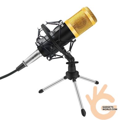 Микрофон студийный конденсаторный металлический BRANCHES BM-800 тренога, вибро-ветрозащита, кабель XLR-3.5мм