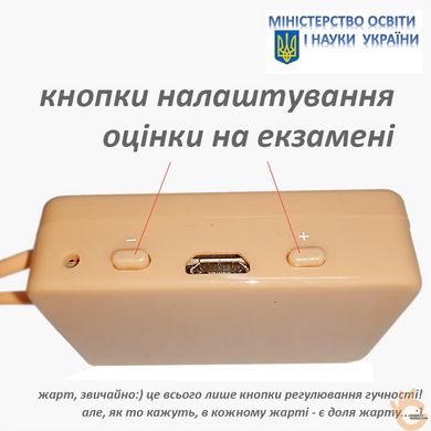 Индукционный звуковой передатчик петля GSM + микронаушник ELITA GSM IVS900K. Полный комплект