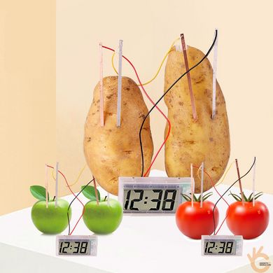 Обладнання для шкіл, кабінетів фізики Fizika 4 Годинник, що працює від електрики з фруктів та інших середовищ