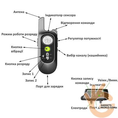 Електро нашийник для собак дресирувальний Pet JXG-1K запис звукових команд, 4 режими, дальність до 1км