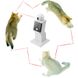 Игрушка для кошек и собак, робот лазерный проектор, 3 режима движения Pet Crazy Laser питание от батареек