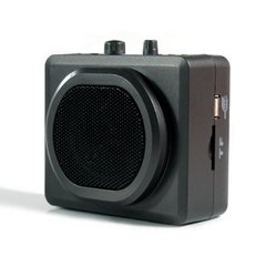 Колонка - громкоговоритель 20 Вт портативная с внешней гарнитурой, USB, MP3 плеер, FM радио ADIN VS-8800